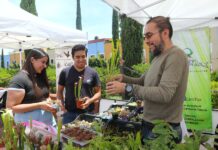 Inaugura CICB-UATx su “Segundo Festival de las Suculentas en Tlaxcala” - AlternativaTlx