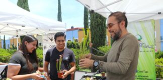 Inaugura CICB-UATx su “Segundo Festival de las Suculentas en Tlaxcala” - AlternativaTlx