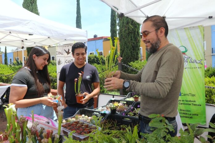 Inaugura CICB-UATx su “Segundo Festival de las Suculentas en Tlaxcala” - AlternativaTlx