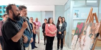 Invita IMSS Tlaxcala a ver la Exposición “Gatos” - AlternativaTlx