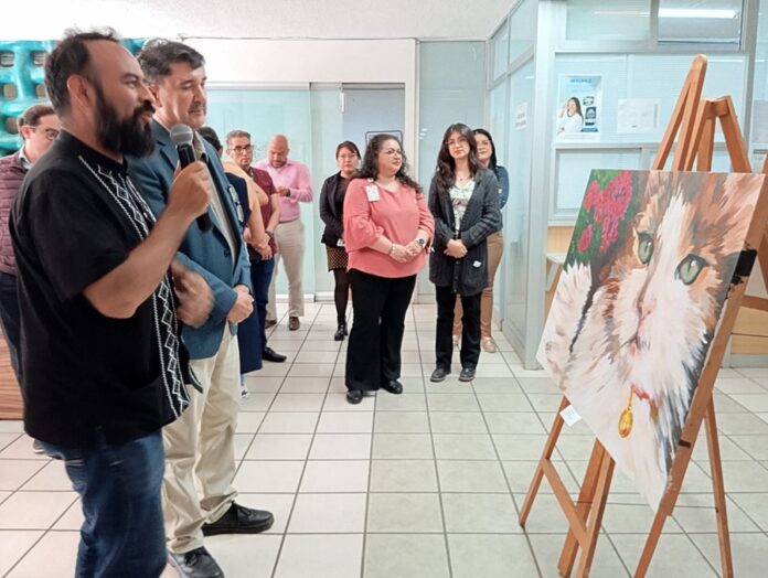 Invita IMSS Tlaxcala a ver la Exposición “Gatos” - AlternativaTlx