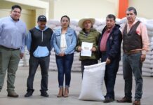 Inicia la Entrega de Semilla de Avena a Ejidos Afectados por Lluvias y Granizo- AlternativaTlx
