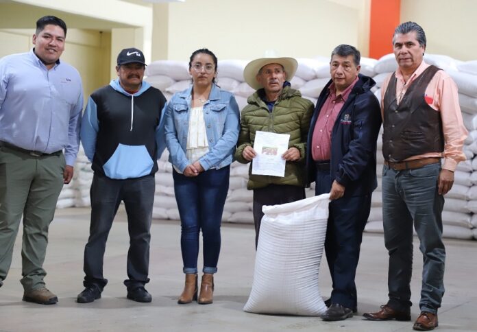 Inicia la Entrega de Semilla de Avena a Ejidos Afectados por Lluvias y Granizo- AlternativaTlx