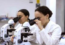 Investigaciones de la UAG impulsa Soluciones Innovadoras a Retos Sociales - AlternativaTlx