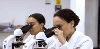 Investigaciones de la UAG impulsa Soluciones Innovadoras a Retos Sociales - AlternativaTlx