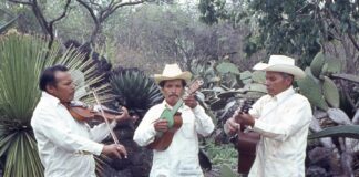 La Fonoteca Nacional Presenta Micrositio Dedicado a una de las Compilaciones más Valiosas de la Música Tradicional Mexicana - AlternativaTlx