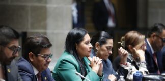 Laura Itzel Castillo, Mujer de Izquierda Comprometida con las Causas Sociales: Ana Lilia Rivera - AlternativaTlx