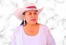 Llama Ana Lilia Rivera a Militancia de Morena Participar en la Elección de Comités Seccionales- AlternativaTlx 