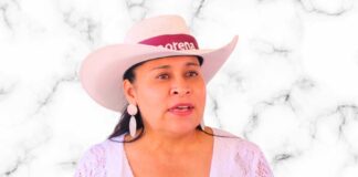 Llama Ana Lilia Rivera a Militancia de Morena Participar en la Elección de Comités Seccionales- AlternativaTlx 