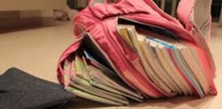 Exhorta IMSS Tlaxcala Mochila no Debe Exceder 15% del Peso Infantil - AlternativaTlx