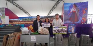 Nueve Jefas de Familia de Zacatelco Reciben Apoyos del Programa Estatal “Jefas de Familia” Gracias al DIF Municipal- AlternativaTlx 