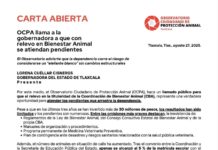 OCPA Llama a la Gobernadora a que con Relevo en Bienestar Animal se Atiendan Pendientes - AlternativaTlx