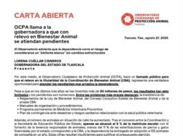OCPA Llama a la Gobernadora a que con Relevo en Bienestar Animal se Atiendan Pendientes - AlternativaTlx