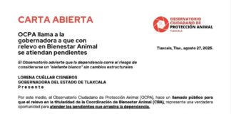 OCPA Llama a la Gobernadora a que con Relevo en Bienestar Animal se Atiendan Pendientes - AlternativaTlx