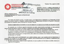 OCPA Llama al Municipio de Tlaxcala a Aplicar Cabalmente el Reglamento de Bienestar Animal- AlternativaTlx 