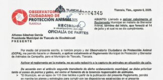 OCPA Llama al Municipio de Tlaxcala a Aplicar Cabalmente el Reglamento de Bienestar Animal- AlternativaTlx 