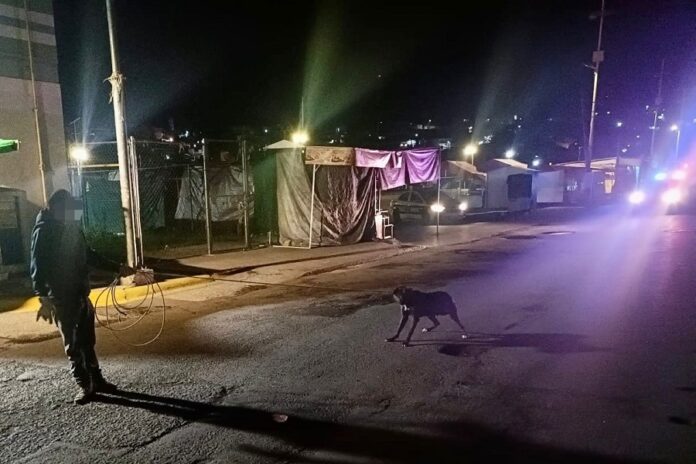 Para Proteger la Seguridad y Salud de la Población el Ayuntamiento de la Capital Retira Canes del Primer Cuadro de la Ciudad- AlternativaTlx 