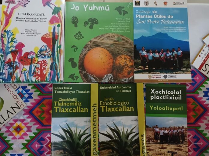 Presenta el JET-UATx las Estrategias para Fortalecimiento y Preservación de las Lenguas Yuhmu y Náhuatl de Tlaxcala - AlternativaTlx