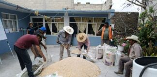 Secretaría de Impulso Agropecuario Acerca a Municipios Talleres para Mejorar la Alimentación del Ganado - AlternativaTlx
