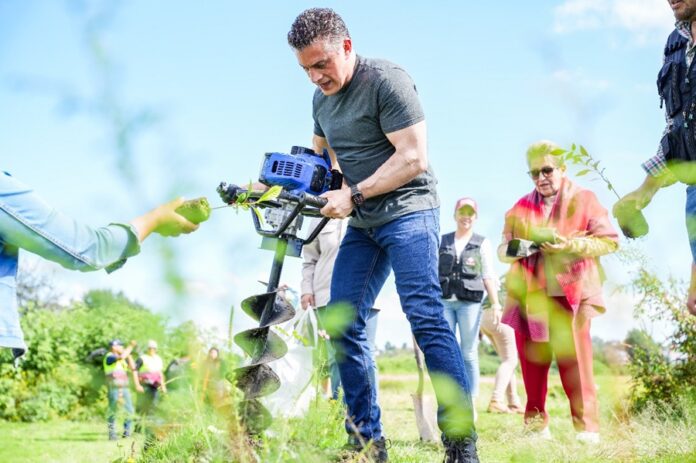 Alcalde Alfonso Sánchez García Encabeza Jornada de Reforestación y Convivencia en la Laguna de Acuitlapilco - AlternativaTlx