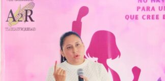 Ana Lilia Rivera: Autonomía Financiera Necesaria para Evitar Violencia Contra las Mujeres - AlternativaTlx