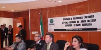 Aprueba Comisión de Relaciones Exteriores Programa Anual de Trabajo: Ray Vázquez - AlternativaTlx