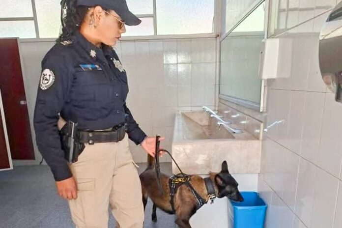 Ayuntamiento de Tlaxcala Impulsa Campaña de Prevención del Delito en el CBTIS 03 - AlternativaTlx