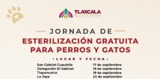 Ayuntamiento de Tlaxcala y SESA Amplían Fechas para Esterilizar de Forma Gratuita a Mascotas - AlternativaTlx