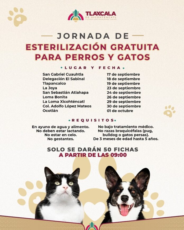 Ayuntamiento de Tlaxcala y SESA Amplían Fechas para Esterilizar de Forma Gratuita a Mascotas - AlternativaTlx