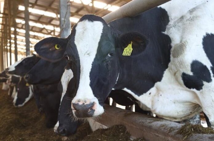Cae Valor de Exportaciones Agroalimentarias Más de Mil Millones de Dólares al Primer Semestre - AlternativaTlx