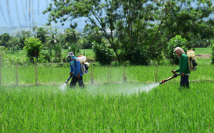 Combatir Plaguicidas Ilegales, Verdadero Desafío en la Agricultura: Ocaña Romo - AlternativaTlx