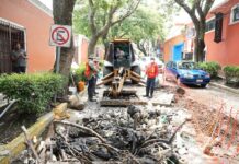 Como Acción Preventiva la CAPAM Desazolva Canal Subterráneo en la Calle del Vecino en la Capital - AlternativaTlx