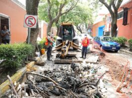 Como Acción Preventiva la CAPAM Desazolva Canal Subterráneo en la Calle del Vecino en la Capital - AlternativaTlx