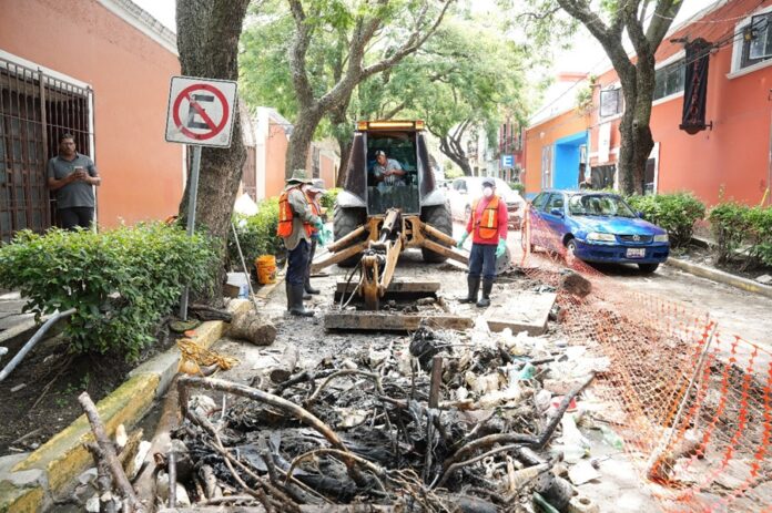 Como Acción Preventiva la CAPAM Desazolva Canal Subterráneo en la Calle del Vecino en la Capital - AlternativaTlx