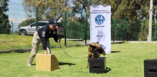 Concluyen Recertificación en Actualización de Técnicas de Adiestramiento Canino 15 Elementos de la Unidad Canina de la SSC - AlternativaTlx