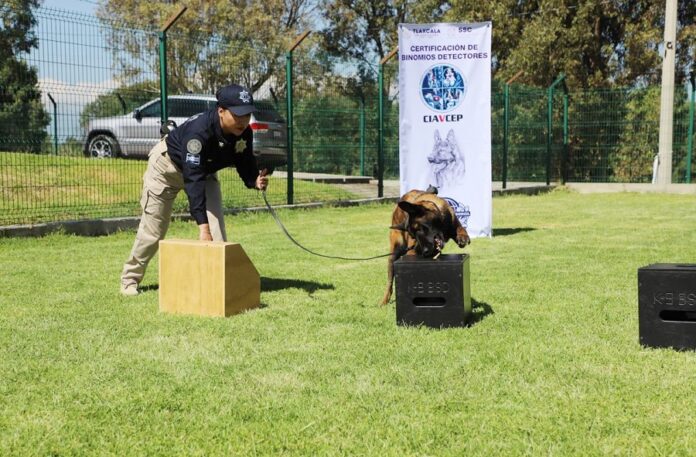 Concluyen Recertificación en Actualización de Técnicas de Adiestramiento Canino 15 Elementos de la Unidad Canina de la SSC - AlternativaTlx