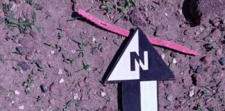 El INAH Inicia Labores de Salvamento Arqueológico en las Rutas de Trenes de Pasajeros del Centro y Norte de México - AlternativaTlx