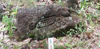 El INAH en Guerrero Estudia Piedra Letra, Conjunto Ceremonial en Cerro de Tlacoachistlahuaca, en la Zona Amuzga - AlternativaTlx