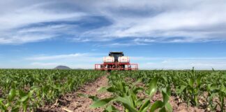 Insumos Encarecen el Próximo Ciclo Agrícola - AlternativaTlx