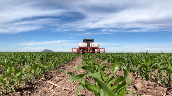 Insumos Encarecen el Próximo Ciclo Agrícola - AlternativaTlx