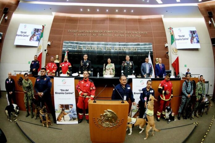 En el Senado Conmemoran Ana Lilia Rivera y Fuerzas Armadas el Día del Binomio Canino - AlternativaTlx
