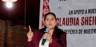 Es Logro de la 4T el Derecho al Presupuesto a Través de Derechos Sociales, Afirma Ana Lilia Rivera - AlternativaTlx