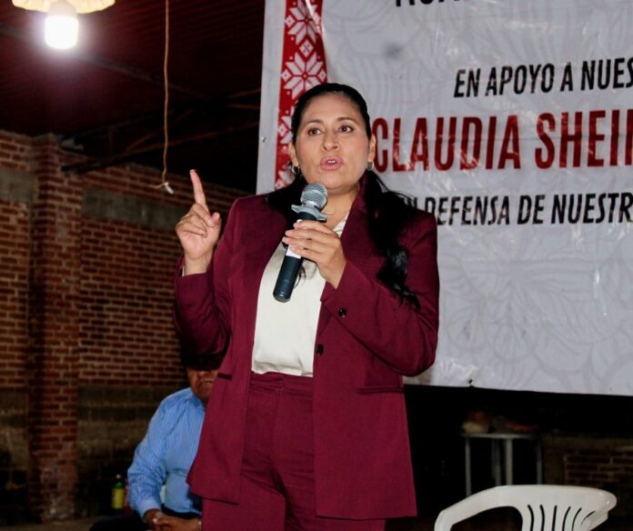 Es Logro de la 4T el Derecho al Presupuesto a Través de Derechos Sociales, Afirma Ana Lilia Rivera - AlternativaTlx