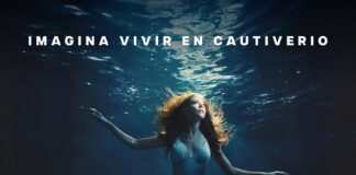 Fernanda Castillo se Transforma en un Delfín en Inquietante Campaña Submarina de PETA Latinos - AlternativaTlx