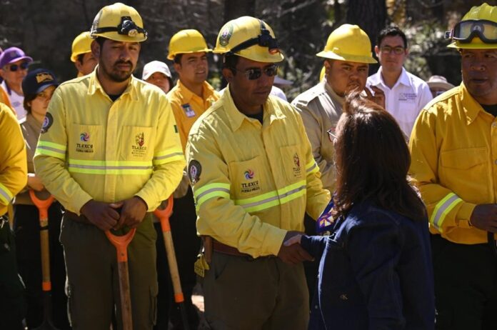 Inicia Gobernadora Jornada “Reforestemos Juntos Atltzayanca” - AlternativaTlx
