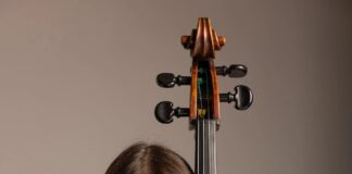 La Orquesta Escuela Carlos Chávez Y La Violonchelista Anna Komusinski Compartirán El Escenario - AlternativaTlx