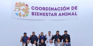 Lesdy Liliana Chávez Cota Asume Titularidad de la Coordinación de Bienestar Animal - AlternativaTlx