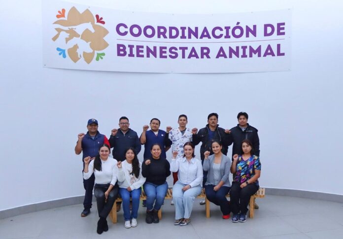 Lesdy Liliana Chávez Cota Asume Titularidad de la Coordinación de Bienestar Animal - AlternativaTlx Lesdy Liliana Chávez Cota Asume Titularidad de la Coordinación de Bienestar Animal - AlternativaTlx