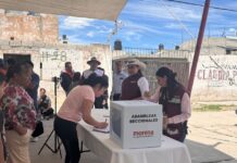 Llama Ana Lilia Rivera a Comités Seccionales de Morena Promover Logros de la 4T - AlternativaTlx