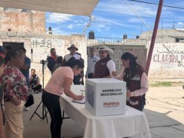 Llama Ana Lilia Rivera a Comités Seccionales de Morena Promover Logros de la 4T - AlternativaTlx